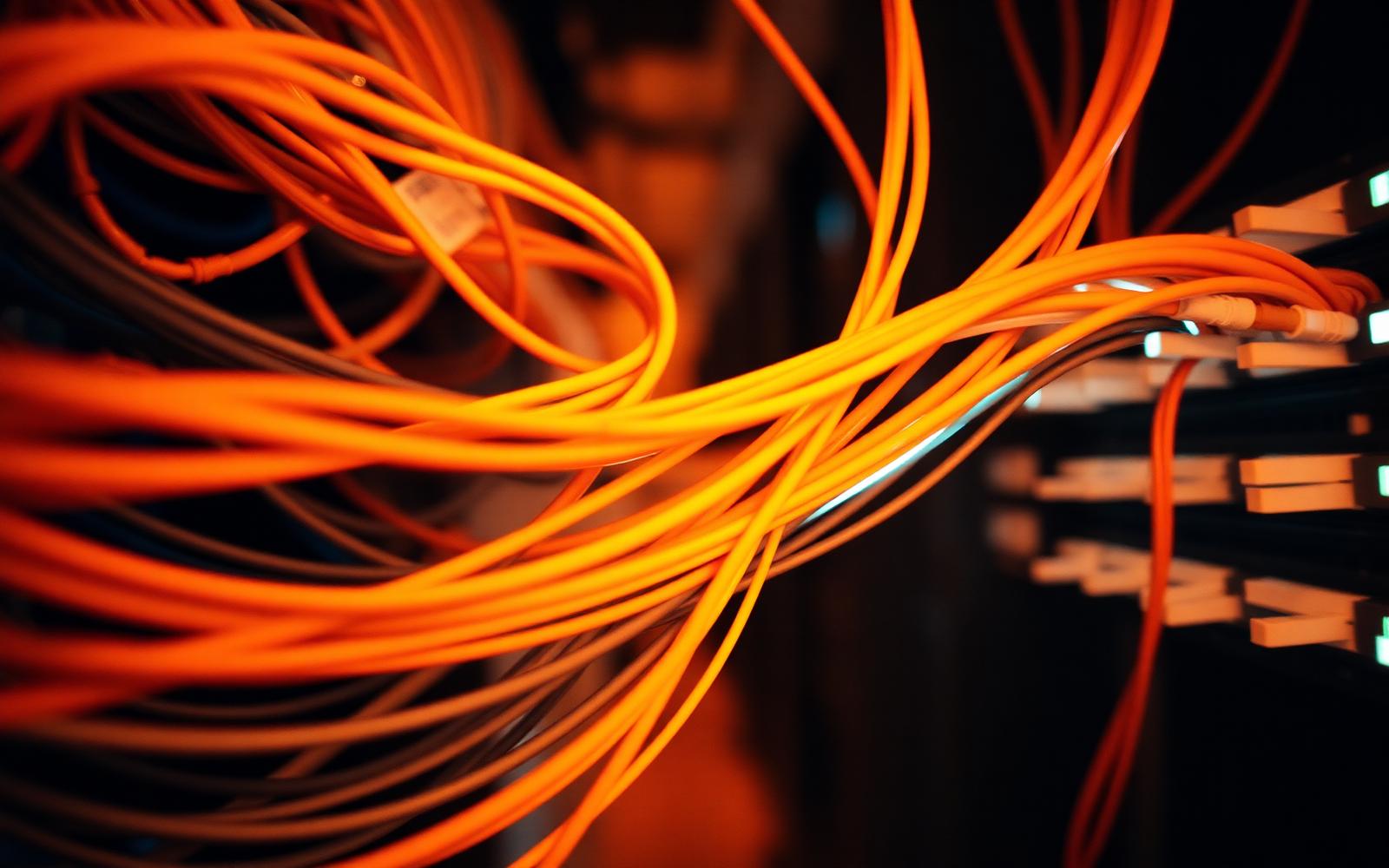 Warm cabling running through a network patch panel